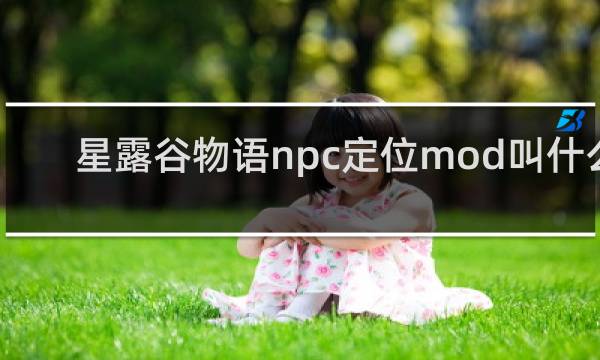 星露谷物语npc定位mod叫什么