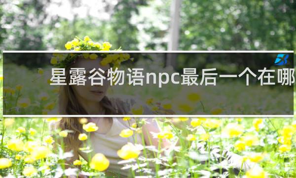 星露谷物语npc最后一个在哪