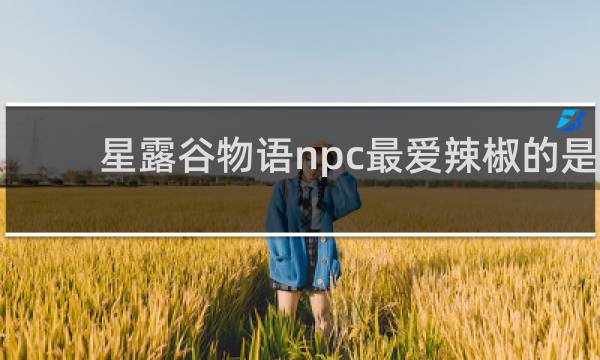 星露谷物语npc最爱辣椒的是