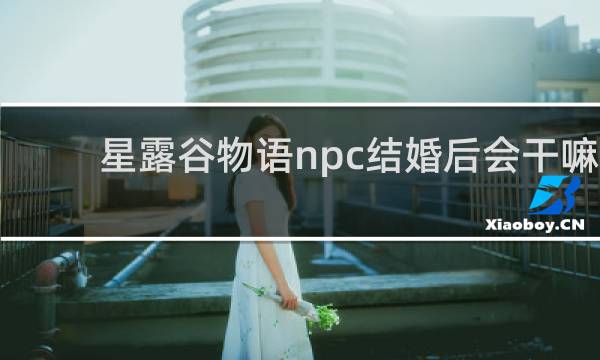 星露谷物语npc结婚后会干嘛