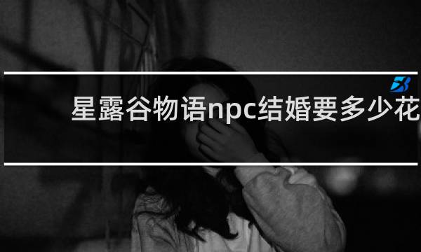 星露谷物语npc结婚要多少花
