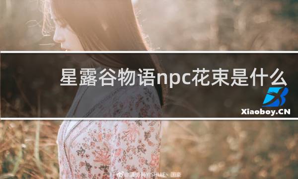 星露谷物语npc花束是什么