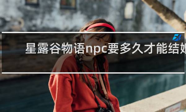 星露谷物语npc要多久才能结婚