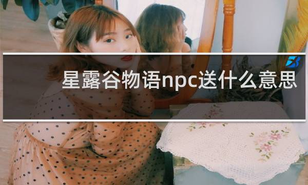 星露谷物语npc送什么意思