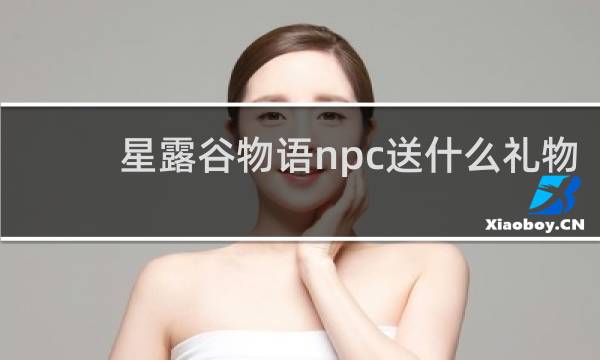 星露谷物语npc送什么礼物
