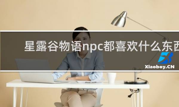 星露谷物语npc都喜欢什么东西