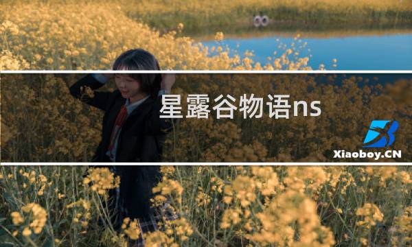 星露谷物语ns 装备鞋