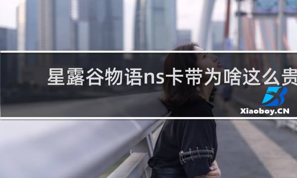 星露谷物语ns卡带为啥这么贵