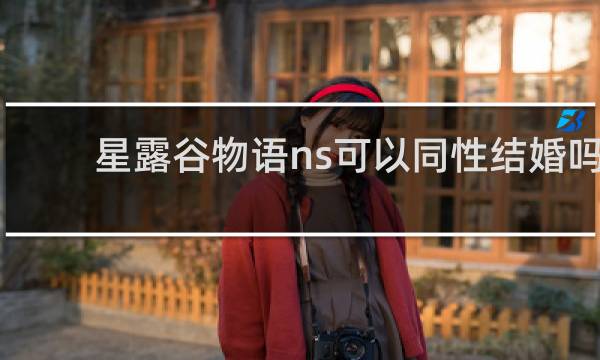 星露谷物语ns可以同性结婚吗