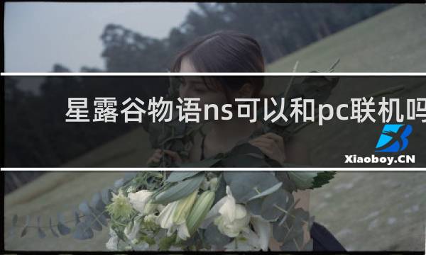 星露谷物语ns可以和pc联机吗