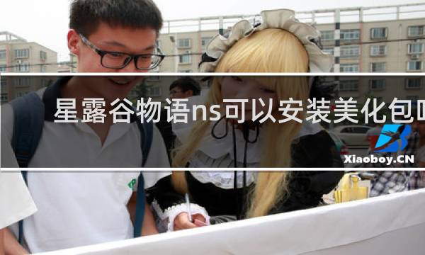 星露谷物语ns可以安装美化包吗