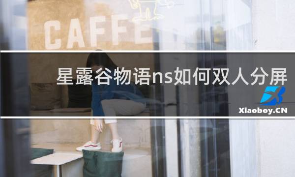 星露谷物语ns如何双人分屏