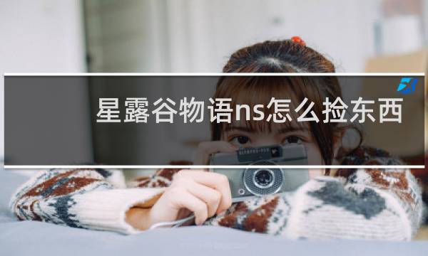 星露谷物语ns怎么捡东西