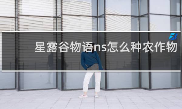 星露谷物语ns怎么种农作物
