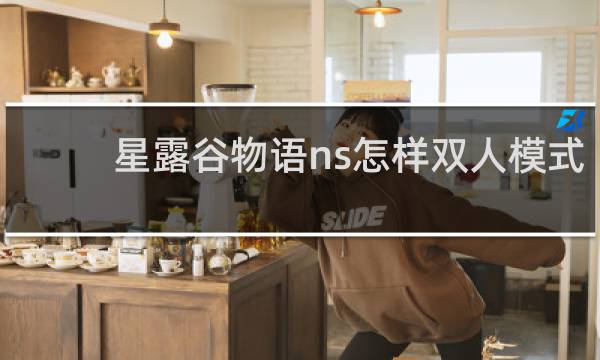 星露谷物语ns怎样双人模式