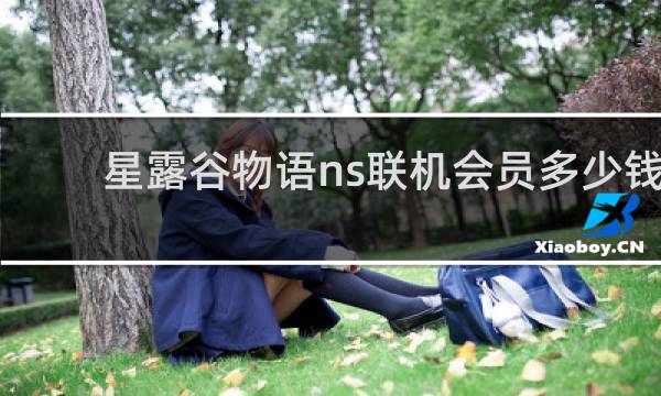 星露谷物语ns联机会员多少钱