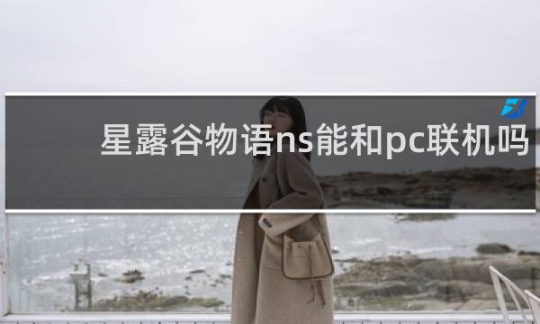 星露谷物语ns能和pc联机吗