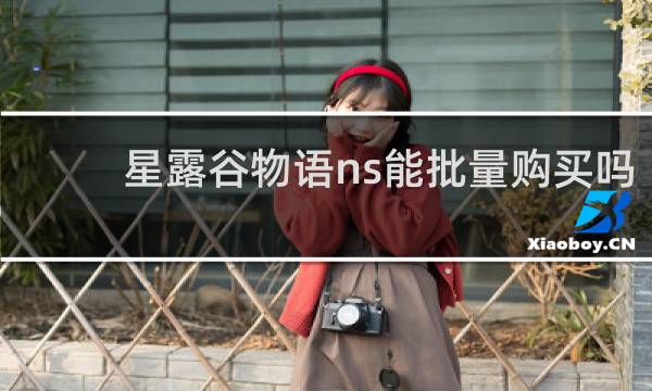 星露谷物语ns能批量购买吗