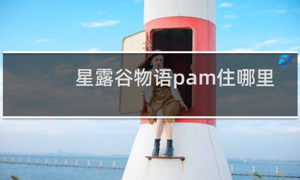 星露谷物语pam住哪里