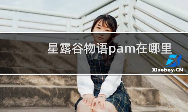 星露谷物语pam在哪里