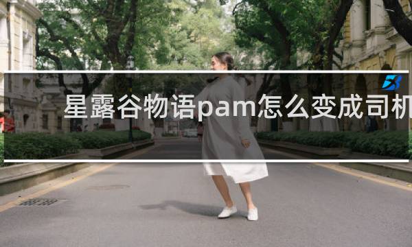 星露谷物语pam怎么变成司机