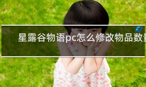 星露谷物语pc怎么修改物品数量