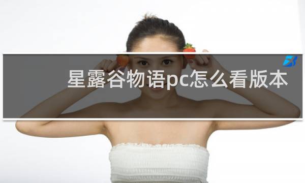星露谷物语pc怎么看版本