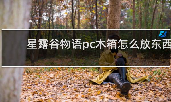 星露谷物语pc木箱怎么放东西