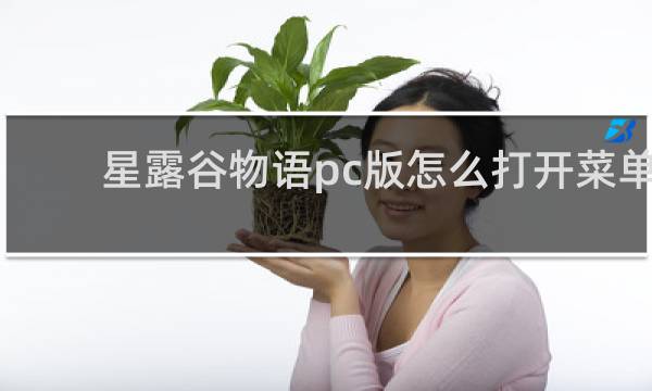 星露谷物语pc版怎么打开菜单