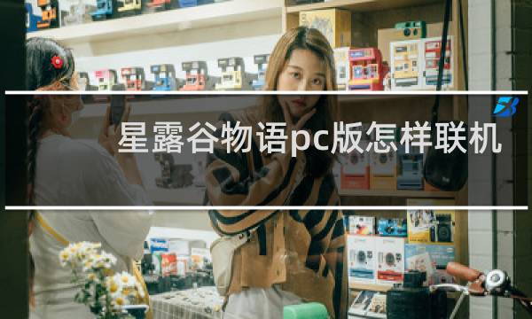 星露谷物语pc版怎样联机