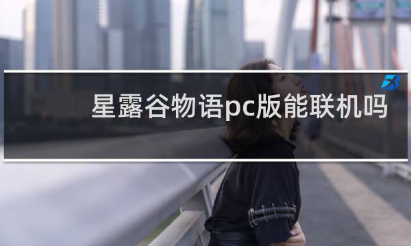 星露谷物语pc版能联机吗