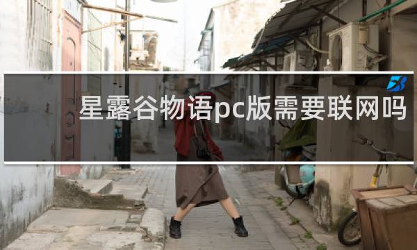 星露谷物语pc版需要联网吗