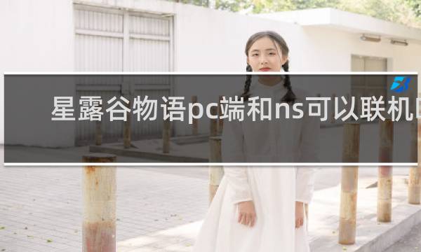 星露谷物语pc端和ns可以联机吗