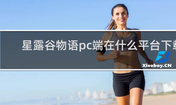 星露谷物语pc端在什么平台下载