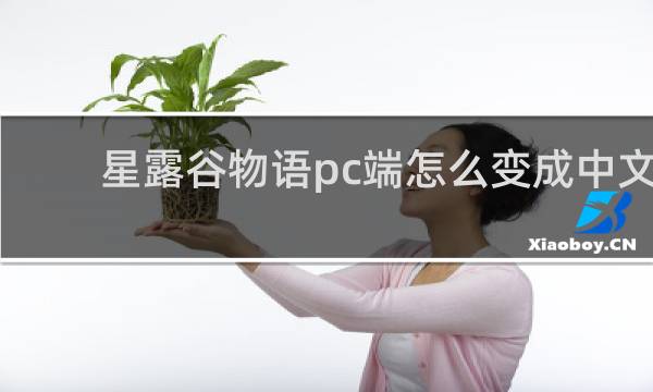 星露谷物语pc端怎么变成中文