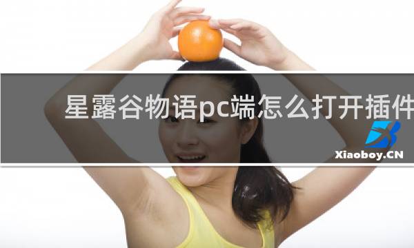 星露谷物语pc端怎么打开插件