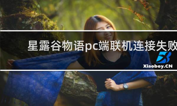 星露谷物语pc端联机连接失败