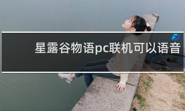 星露谷物语pc联机可以语音