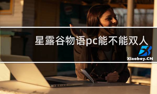 星露谷物语pc能不能双人