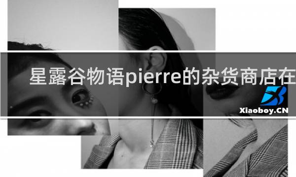 星露谷物语pierre的杂货商店在哪