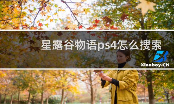 星露谷物语ps4怎么搜索