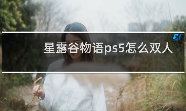 星露谷物语ps5怎么双人