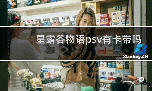 星露谷物语psv有卡带吗