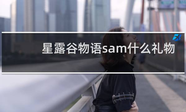 星露谷物语sam什么礼物