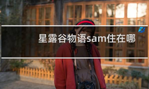 星露谷物语sam住在哪