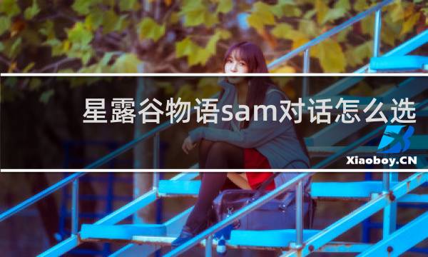 星露谷物语sam对话怎么选