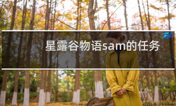 星露谷物语sam的任务