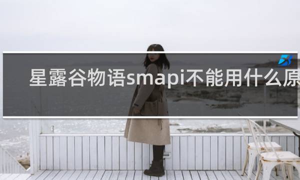 星露谷物语smapi不能用什么原因