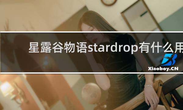 星露谷物语stardrop有什么用
