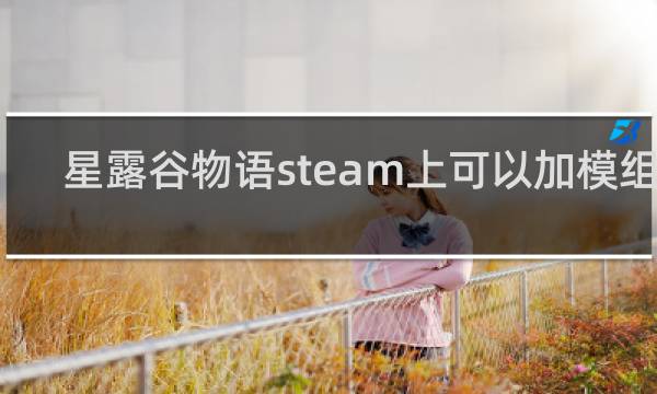 星露谷物语steam上可以加模组吗